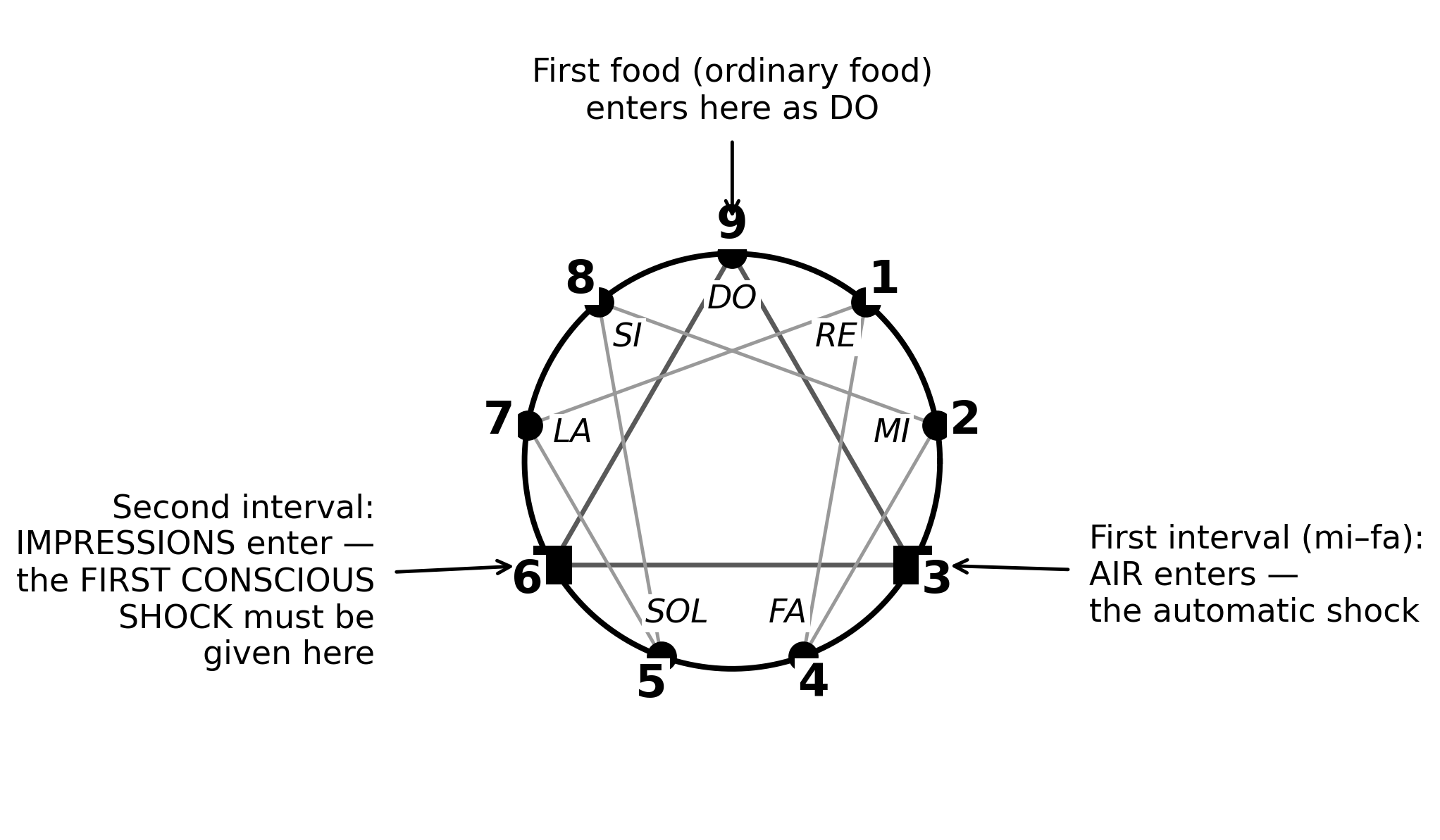 The food octave on the enneagram — the figure's classic worked example